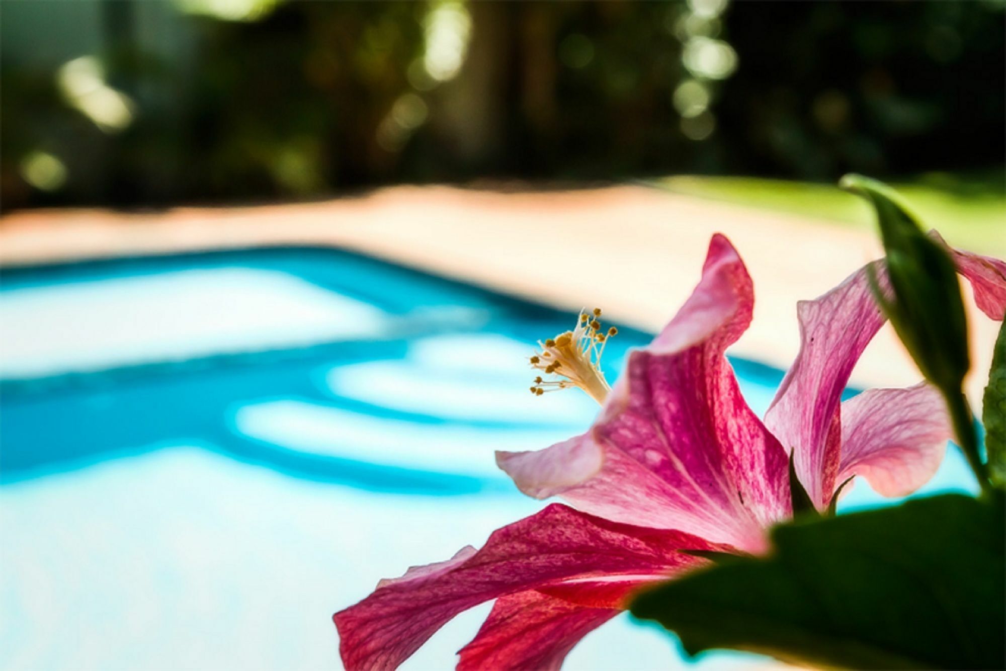 Coffs Harbour Holiday Apartments Ngoại thất bức ảnh